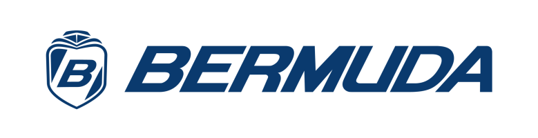 Logo Azul